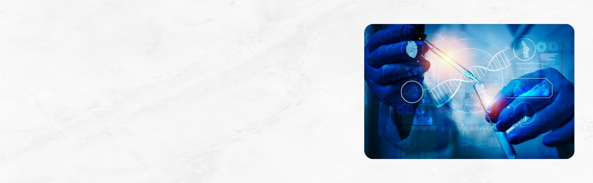 Phylogenetic analysis in bioinformatics